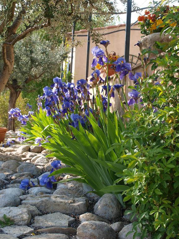 Bed and Breakfast Jardin D'Antan Ansouis Екстер'єр фото